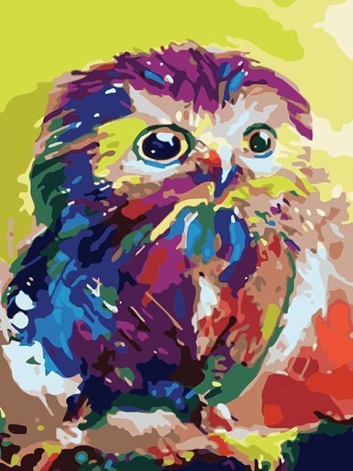Kleurrijke Uil in Olieverfschilderij-Stijl Schilderen op Nummers