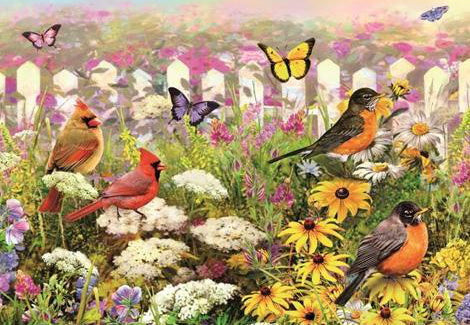Kleurrijke Vogels en Vlinders Schilderen op Nummers