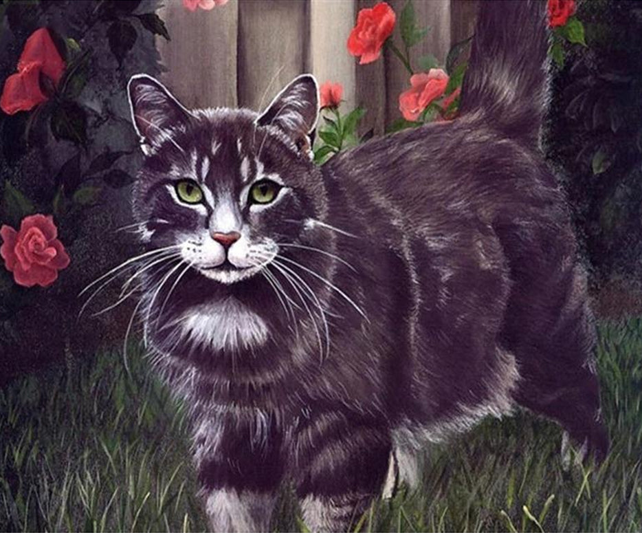Knappe Zwarte Kat Schilderen op Nummers