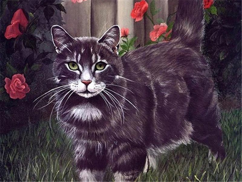 Knappe Zwarte Kat Schilderen op Nummers