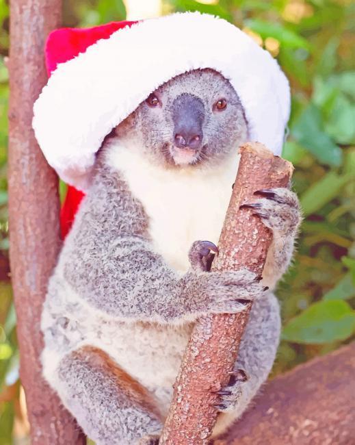 Koala met Kerstmuts Schilderen op Nummers