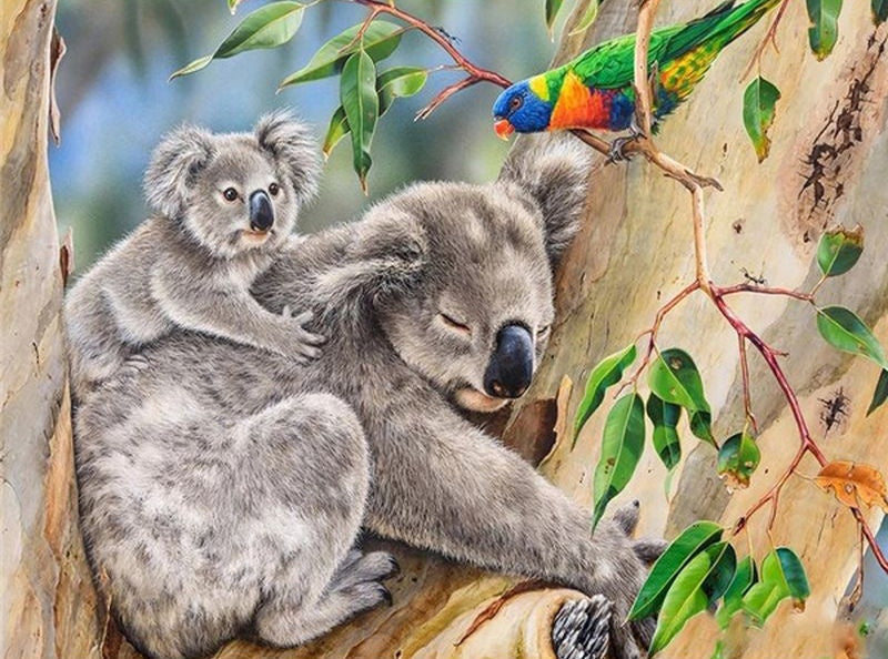 Koala's en papagaai Schilderen op Nummers