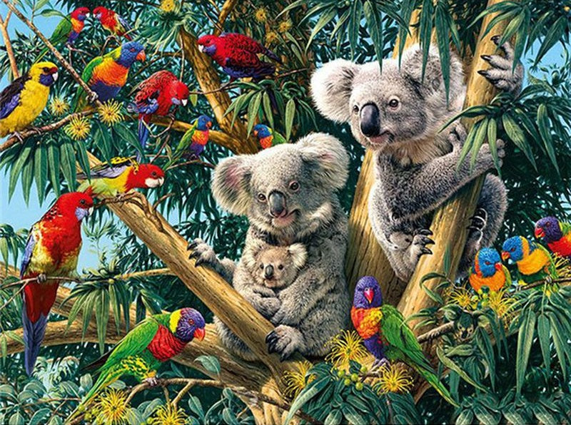Koala's en papegaaien Schilderen op Nummers