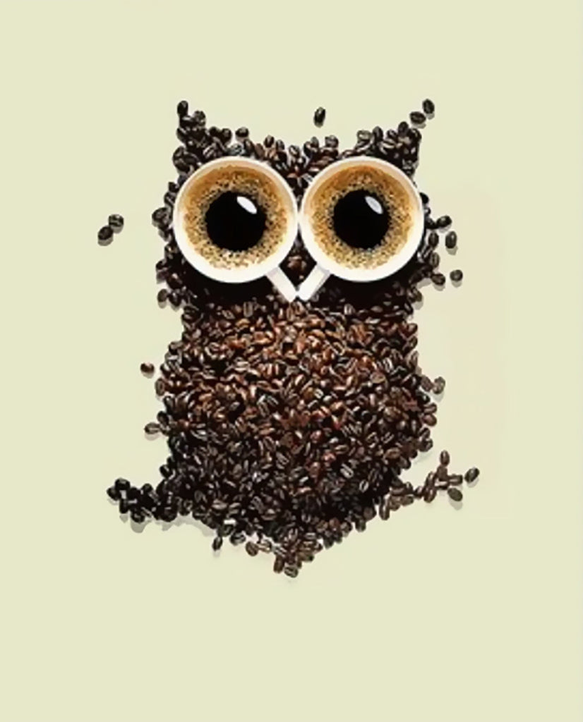 Koffie Uil Schilderen op Nummers