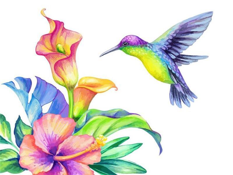 Kolibrie en Kleurrijke Bloemen Schilderen op Nummers