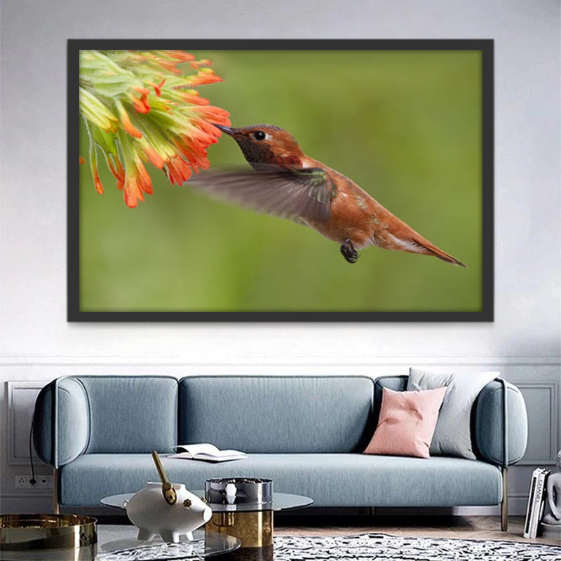Kolibrie Verzamelt Nectar Schilderen op Nummers
