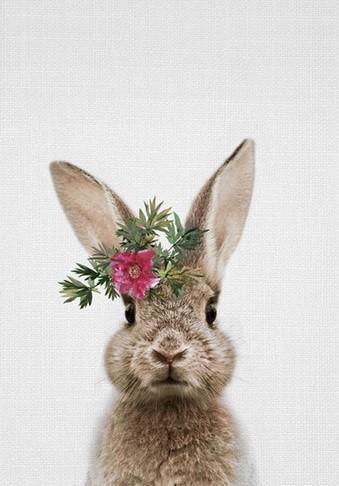 Konijn met een Bloem Schilderen op Nummers