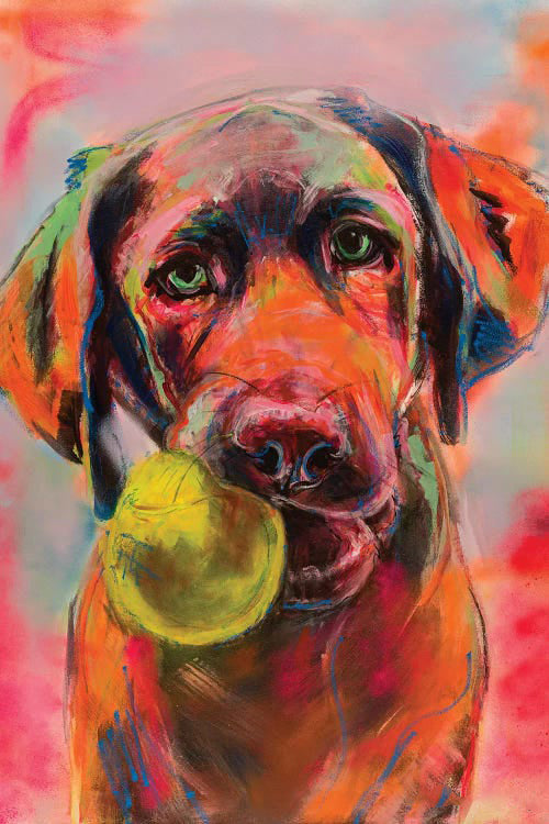 Labrador met een Bal Schilderen op Nummers