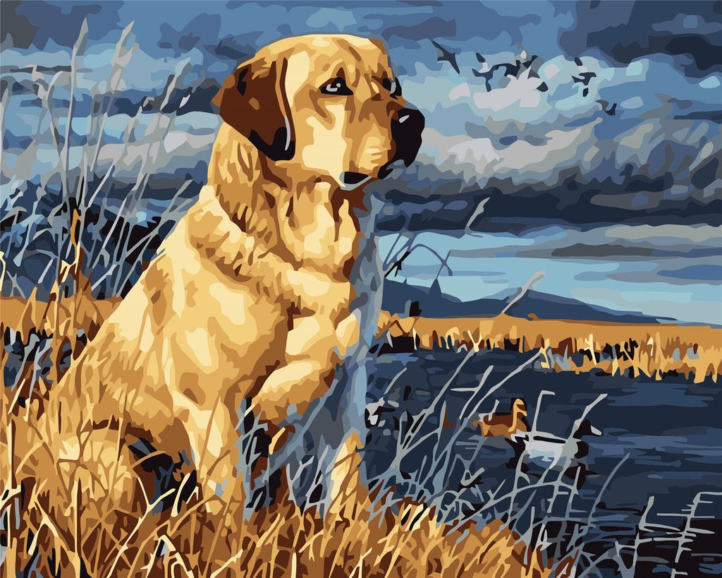 Labrador op Gras Schilderen op Nummers
