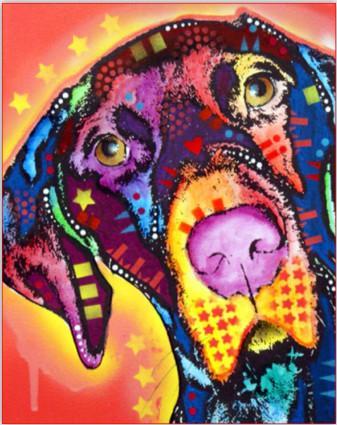 Labrador Pop Art Schilderen op Nummers