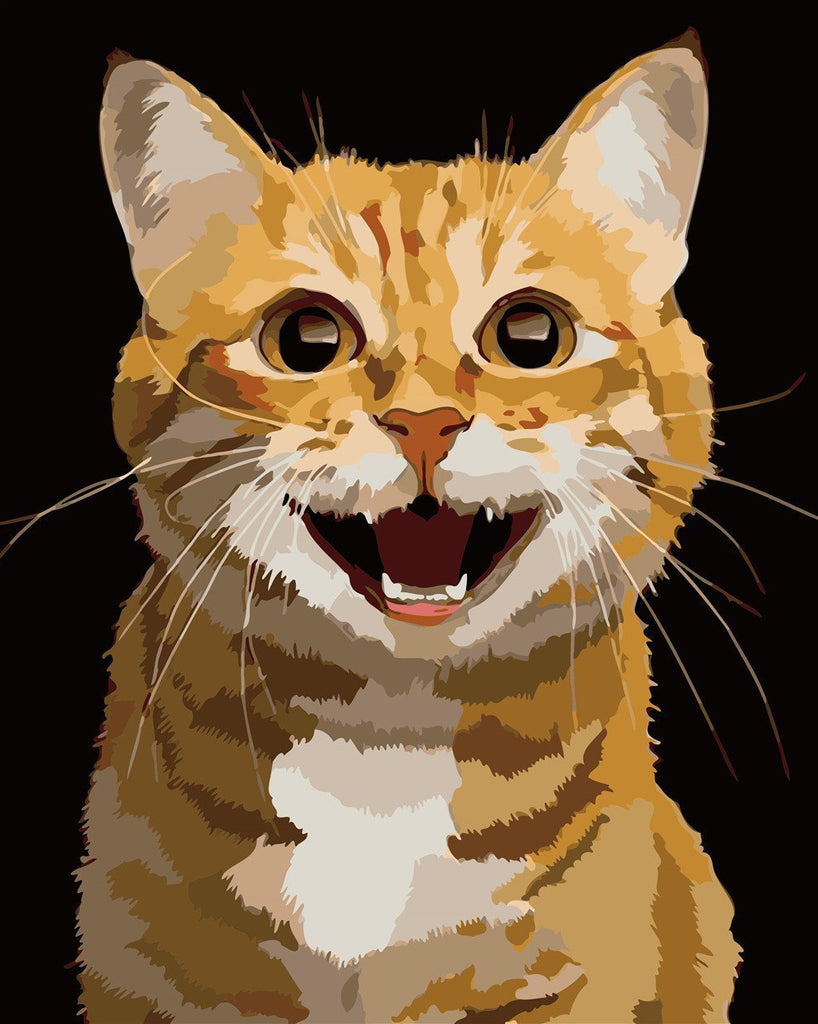 Lachende Kat Schilderen op Nummers