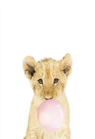 Leeuw en Roze Bubbel Schilderen op Nummers