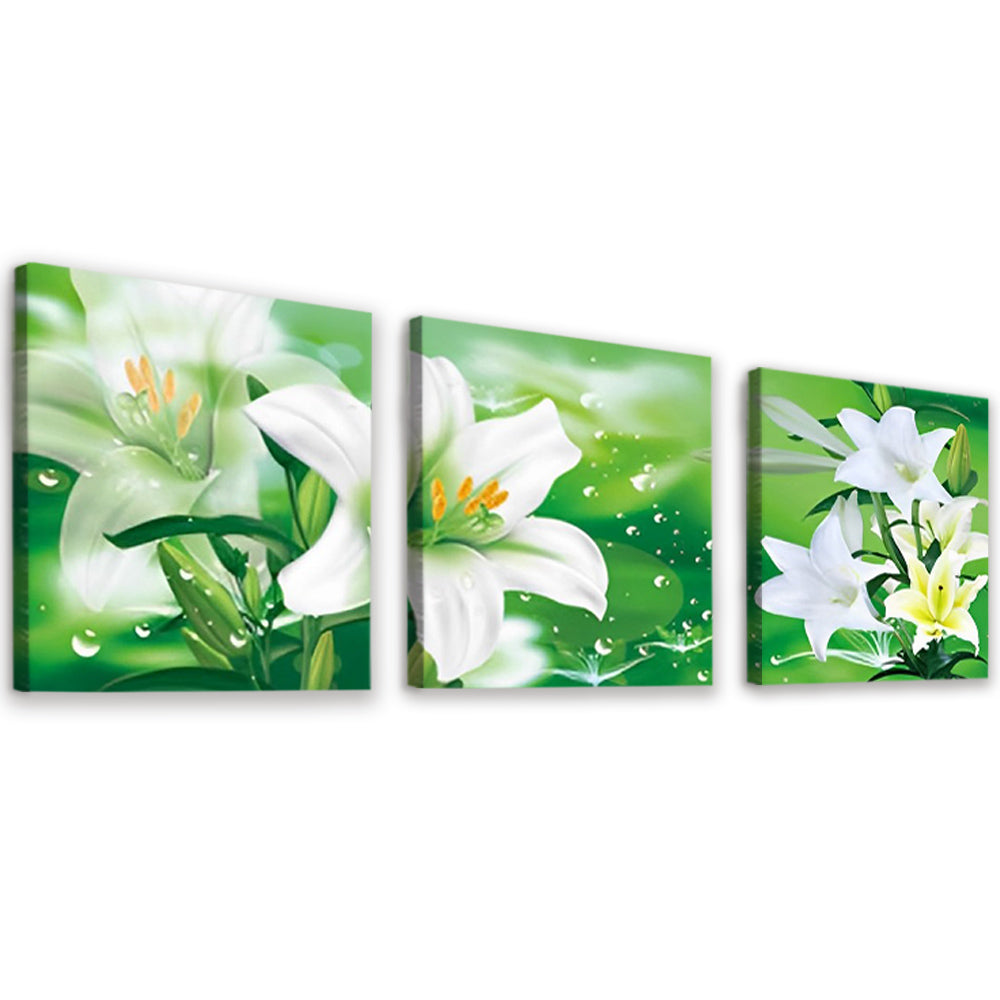 Lelies op een Groene Achtergrond 3 Platen Schilderen op Nummers