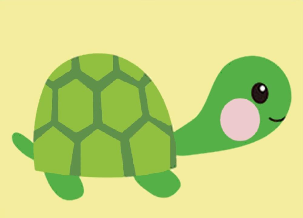 Leuke Groene Schildpad Schilderen op Nummers Kinderen