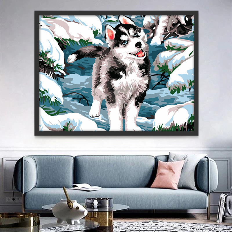 Leuke Husky in de Sneeuw Schilderen op Nummers