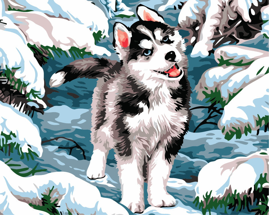 Leuke Husky in de Sneeuw Schilderen op Nummers