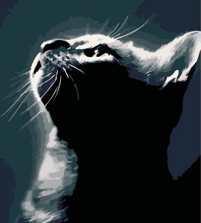Licht en Kat in het Donker Schilderen op Nummers
