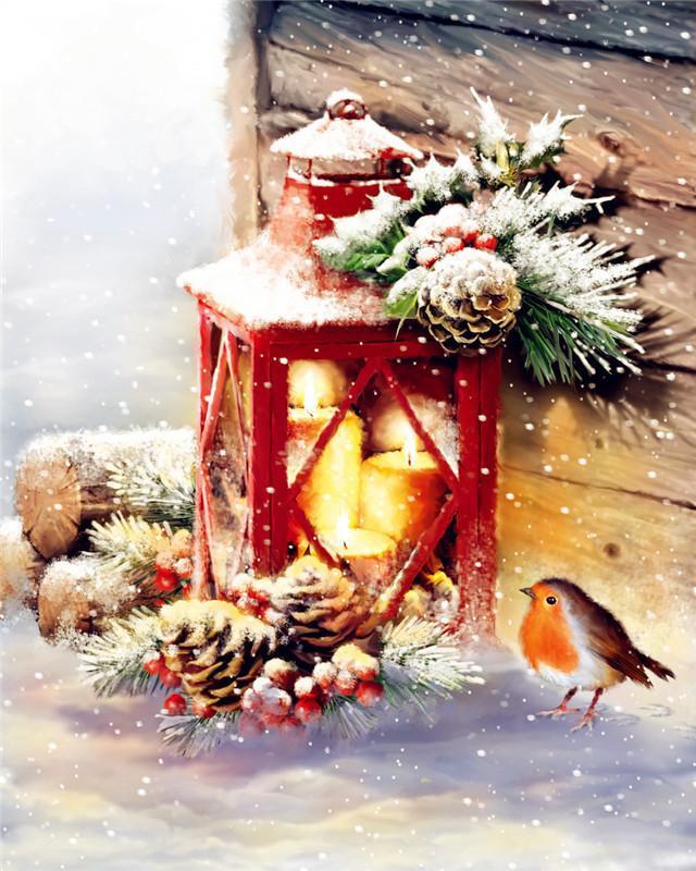 Lichtjes en een Schattig Vogeltje in de Sneeuw Schilderen op Nummers