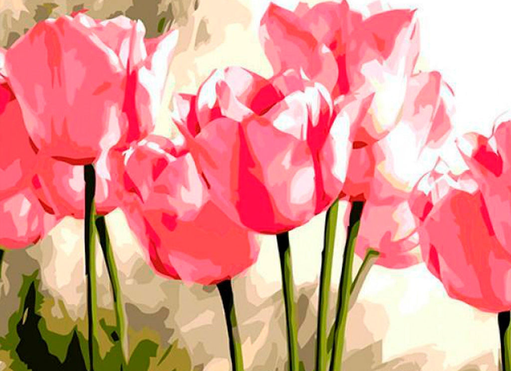 Lichtroze tulpen Schilderen op Nummers
