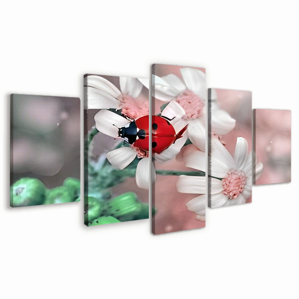 Lieveheersbeestje op Witte Bloemen 5 Platen Schilderen op Nummers