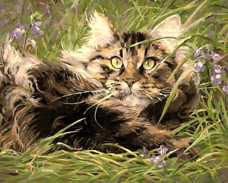 Liggende Kat op Gras Schilderen op Nummers
