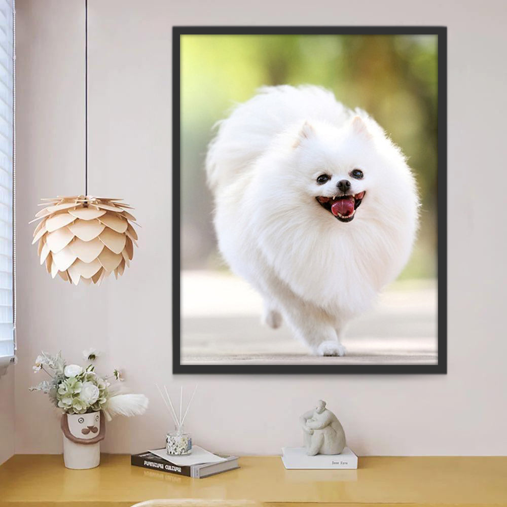 Lopende Schattige Pomeriaan Schilderen op Nummers
