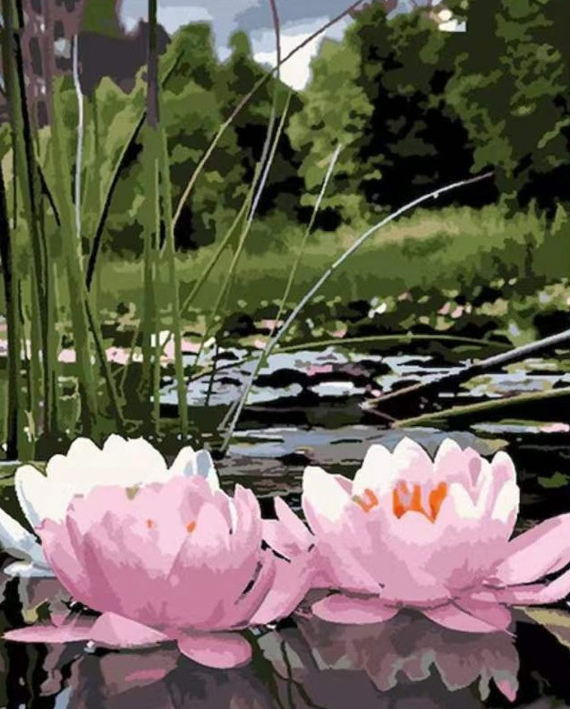 Lotus in het boswater Schilderen op Nummers