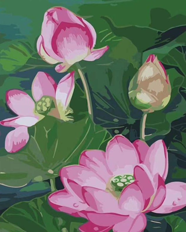 Lotusbloemen Schilderen op Nummers