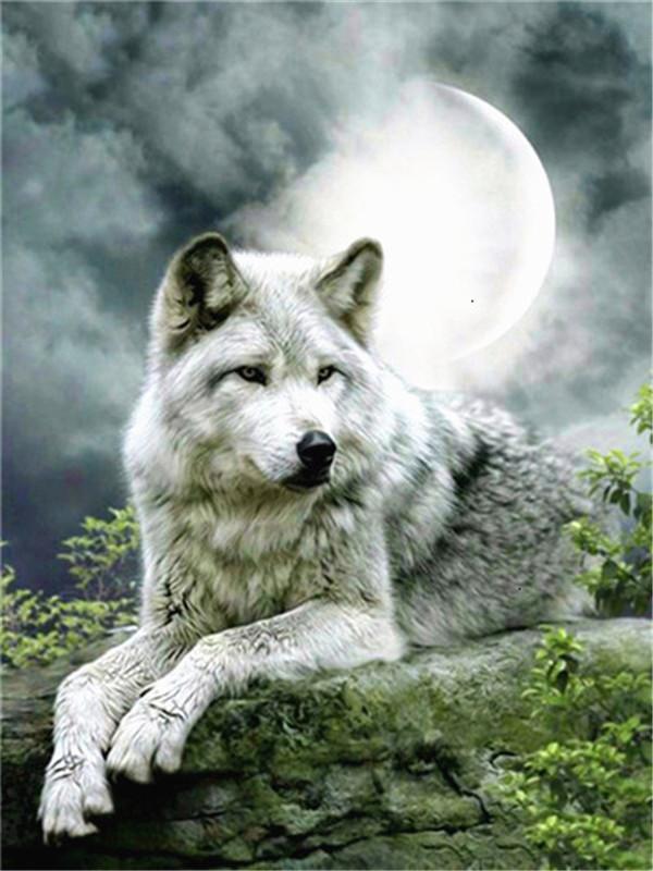 Maan en Wolf Schilderen op Nummers