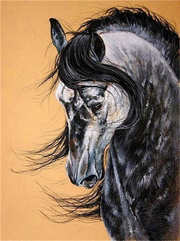 Melancholisch Zwart Paard Schilderen op Nummers
