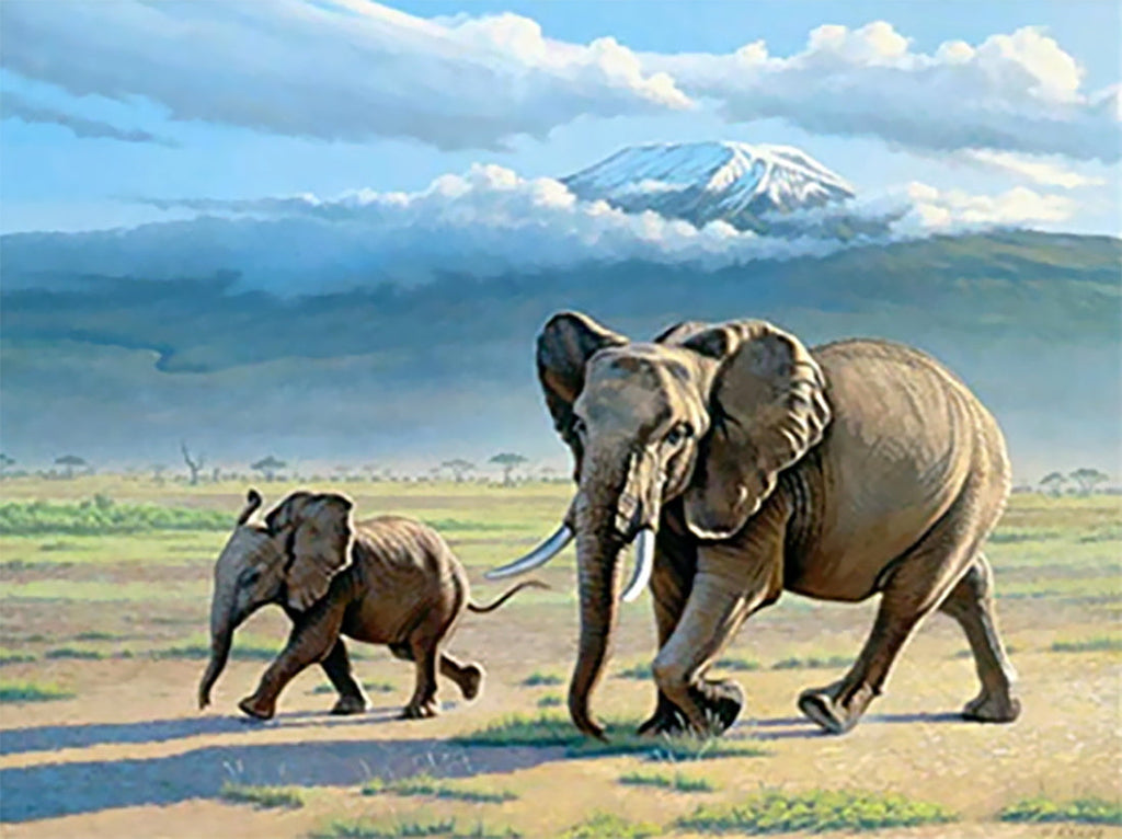 Moeder en Baby Olifant Lopen in het Grasland Schilderen op Nummers