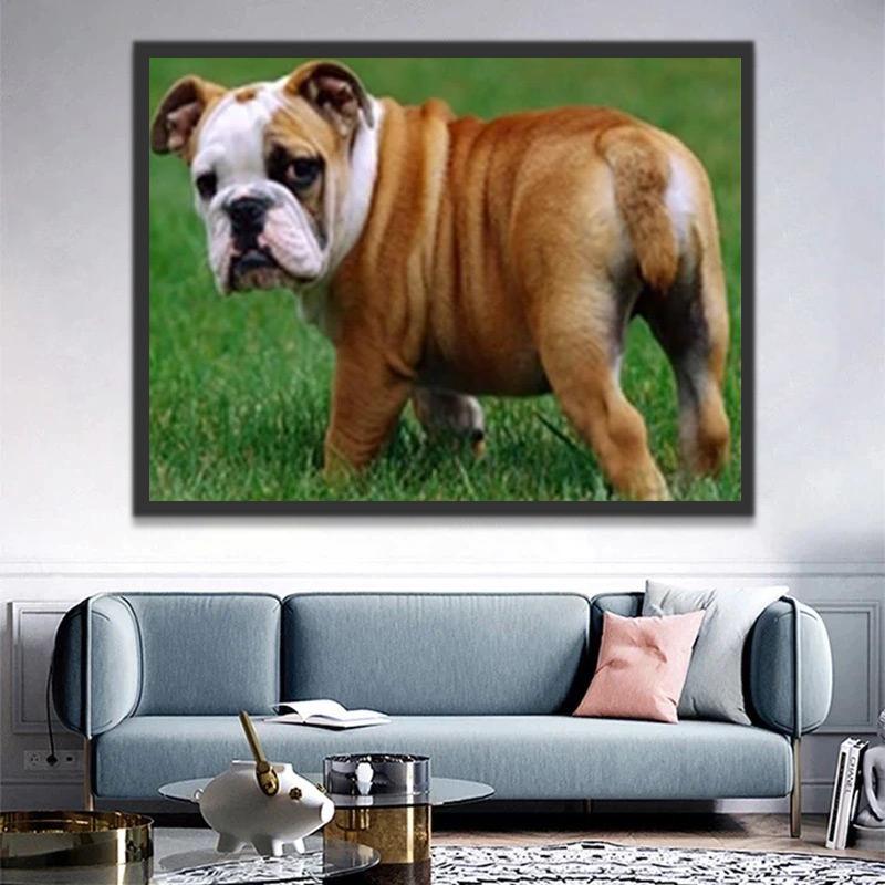 Mollige Bulldog in de Wei Schilderen op Nummers