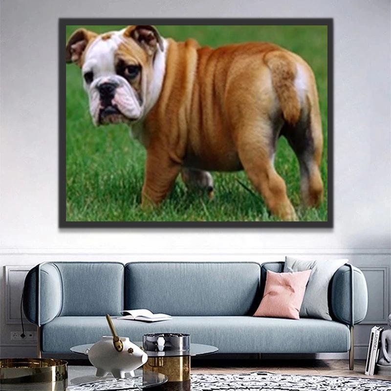 Mollige Sharpei Schilderen op Nummers