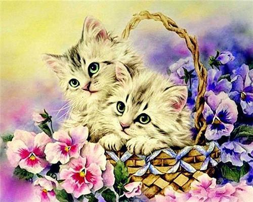 Mooie Bloem en Twee Katten in Bamboemandje Schilderen op Nummers