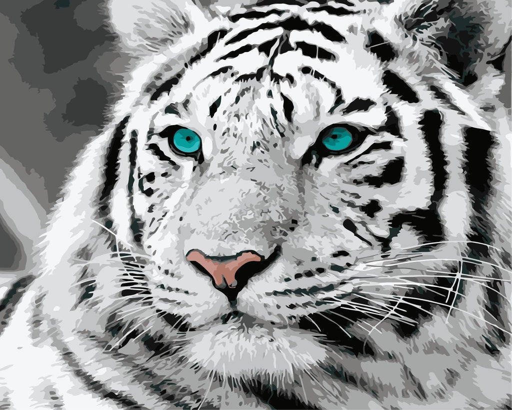 Mooie Witte Tijger Schilderen op Nummers