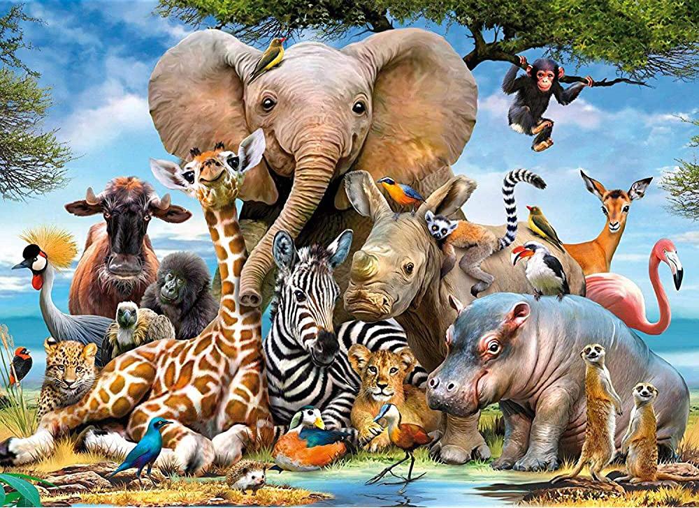 Olifant Aap Giraffe Zebra Nijlpaard Schilderen op Nummers