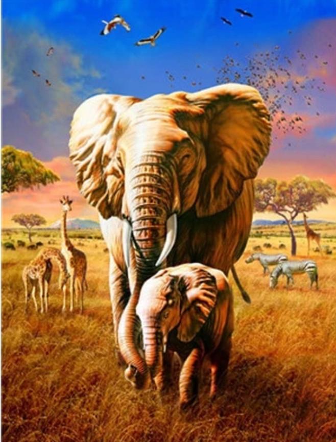 Olifant en Babyolifant in het Grasland Schilderen op Nummers