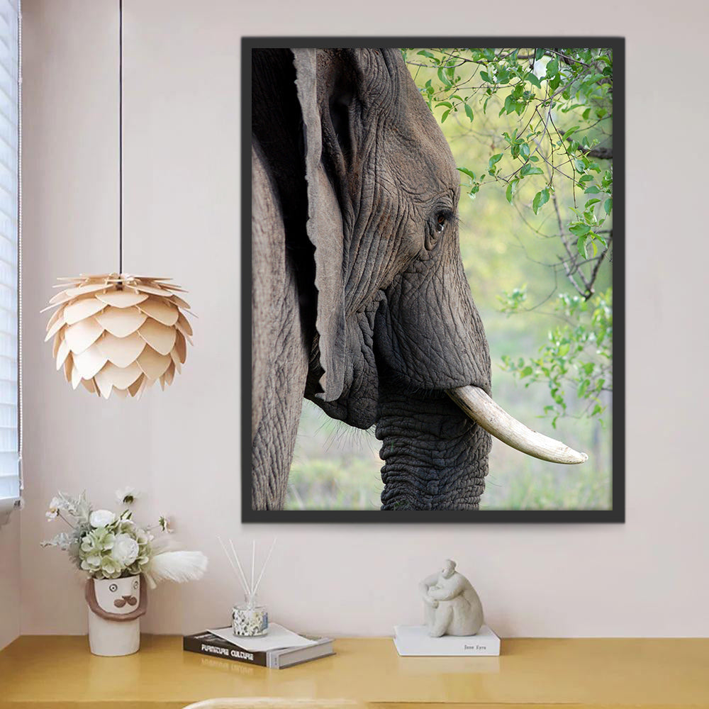 Olifant en Bladeren Schilderen op Nummers