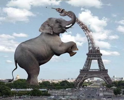 Olifant en Eiffeltoren Schilderen op Nummers