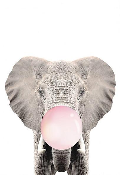 Olifant en Roze Kauwgum Schilderen op Nummers