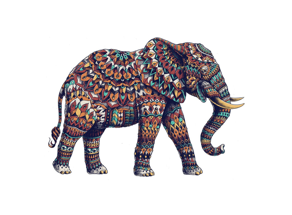 Olifant met Kleurrijk Patroon Schilderen op Nummers