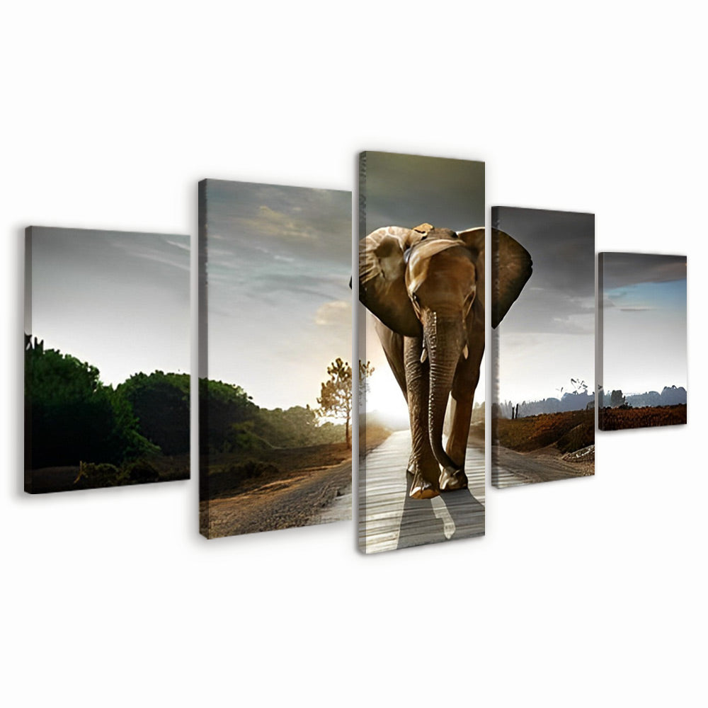 Olifant op de Weg 5 Platen Schilderen op Nummers