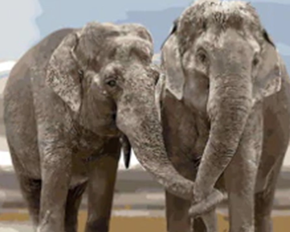 Olifant Paar Schilderen op Nummers