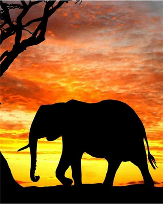 Olifant Silhouet bij Zonsondergang Schilderen op Nummers