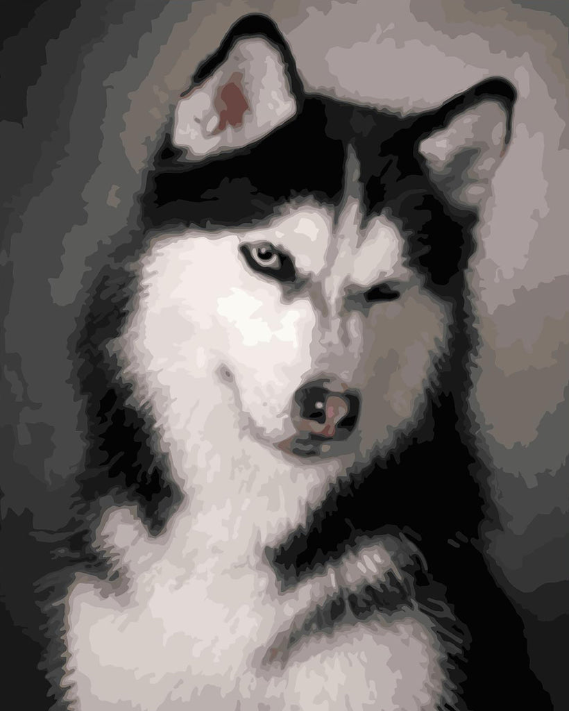 Ondeugende Husky Schilderen op Nummers