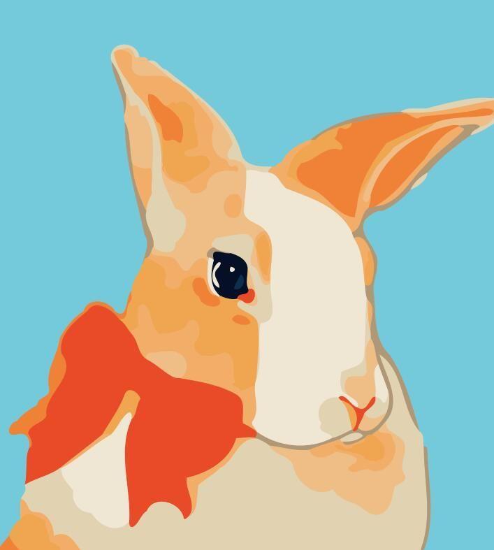 Oranje Cartoon Konijn Schilderen op Nummers Kinderen