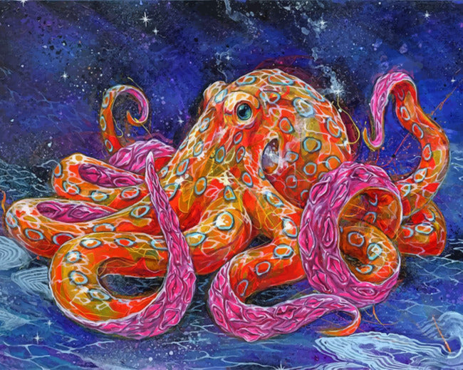 Oranje en roze octopus Schilderen op Nummers
