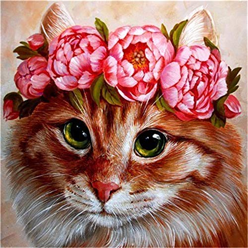 Oranje Kat met Roze Krans Schilderen op Nummers