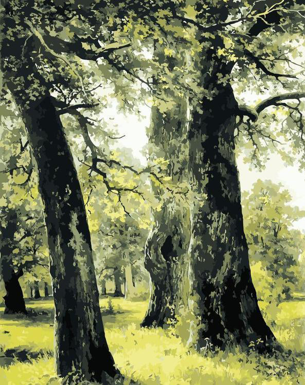 Oude Eikenbossen Schilderen op Nummers