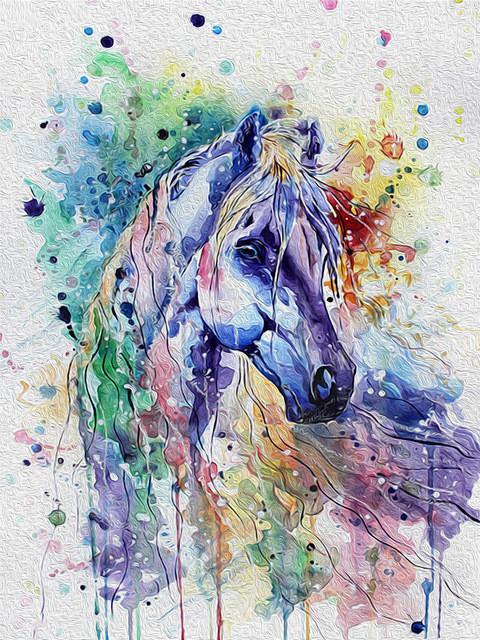 Paard Aquarelportret Schilderen op Nummers